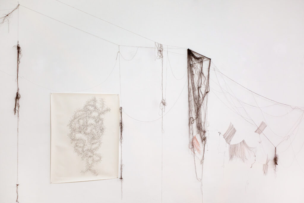 _72A9898-Verbessert-RR