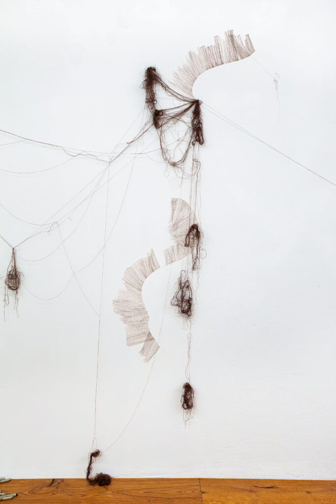 _72A9913-Verbessert-RR