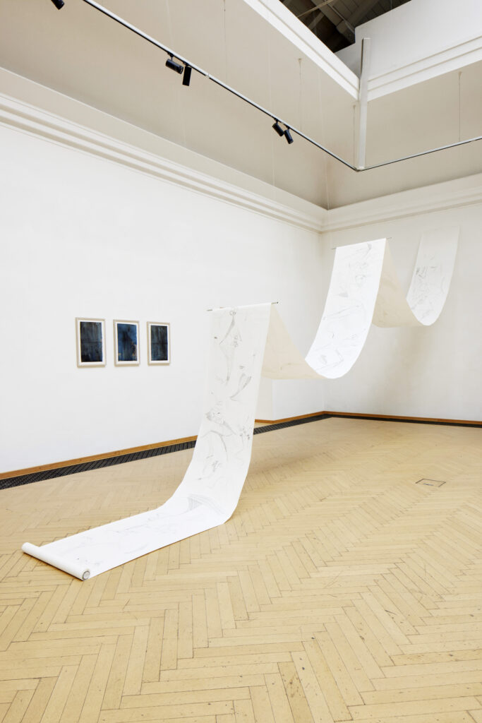 Kunstverein Kärnten, Ausstellung im Küstlerhaus Klagenfurt, Parallele Fiktionen der Natur, Kuratiert von Claudia-Maria Luenig und Minna Kangasmaa