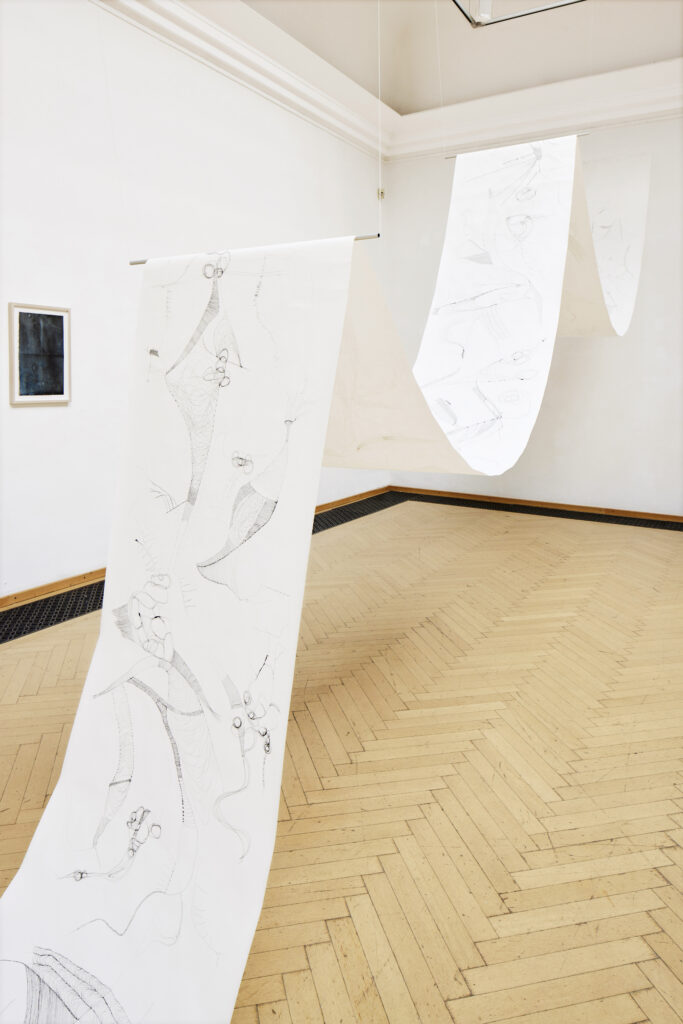 Kunstverein Kärnten, Ausstellung im Küstlerhaus Klagenfurt, Parallele Fiktionen der Natur, Kuratiert von Claudia-Maria Luenig und Minna Kangasmaa