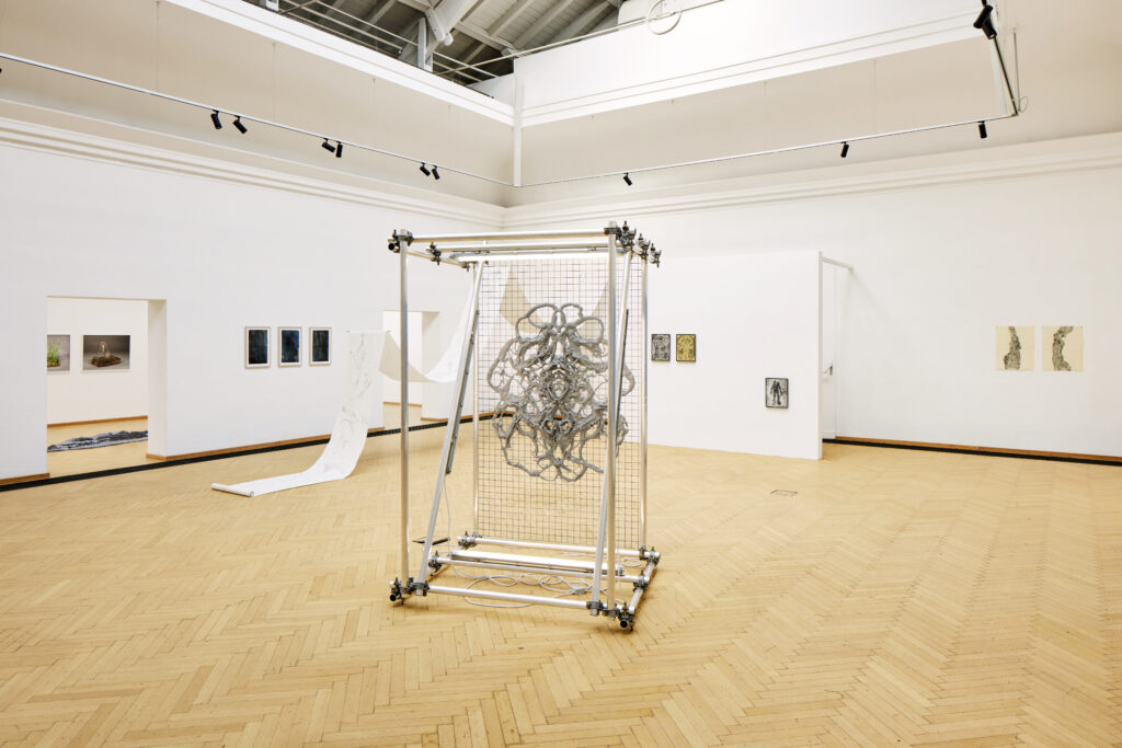 Kunstverein Kärnten, Ausstellung im Küstlerhaus Klagenfurt, Parallele Fiktionen der Natur, Kuratiert von Claudia-Maria Luenig und Minna Kangasmaa