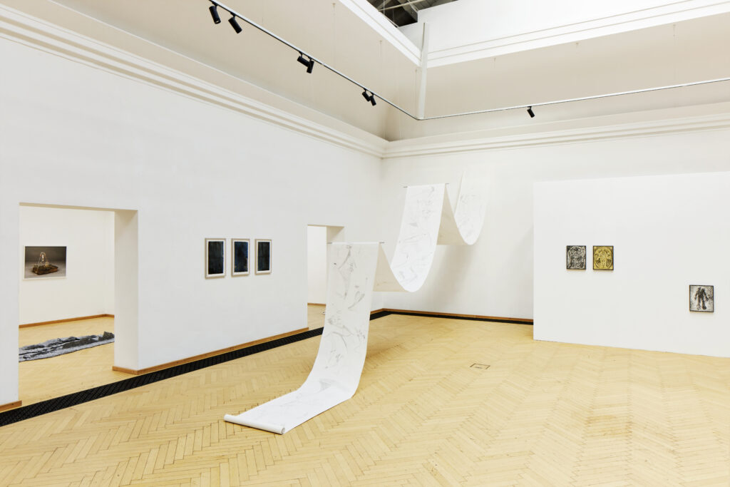 Kunstverein Kärnten, Ausstellung im Küstlerhaus Klagenfurt, Parallele Fiktionen der Natur, Kuratiert von Claudia-Maria Luenig und Minna Kangasmaa