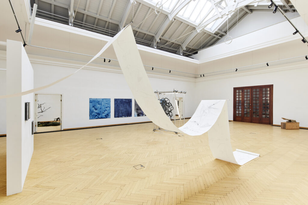 Kunstverein Kärnten, Ausstellung im Küstlerhaus Klagenfurt, Parallele Fiktionen der Natur, Kuratiert von Claudia-Maria Luenig und Minna Kangasmaa