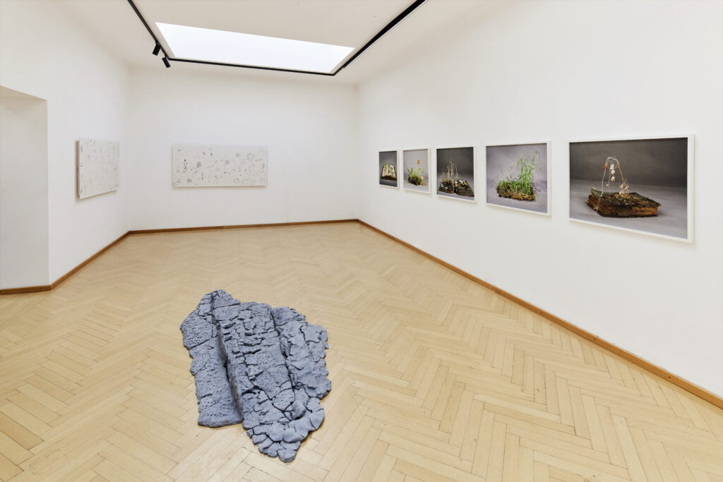 Kunstverein Kärnten, Ausstellung im Küstlerhaus Klagenfurt, Parallele Fiktionen der Natur, Kuratiert von Claudia-Maria Luenig und Minna Kangasmaa