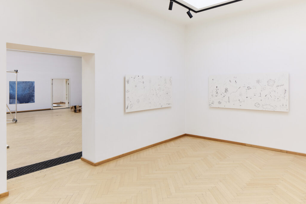 Kunstverein Kärnten, Ausstellung im Küstlerhaus Klagenfurt, Parallele Fiktionen der Natur, Kuratiert von Claudia-Maria Luenig und Minna Kangasmaa