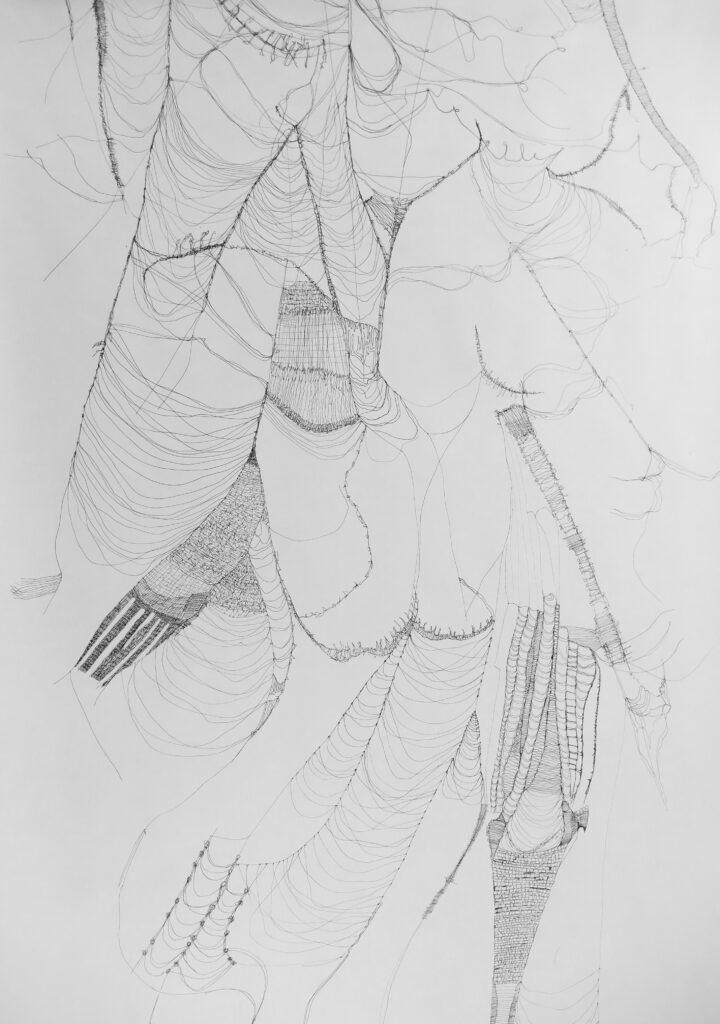 Verwickelt 2023_detail