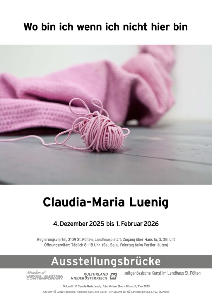 Claudia-Maria Luenig Plakat 2025 web1